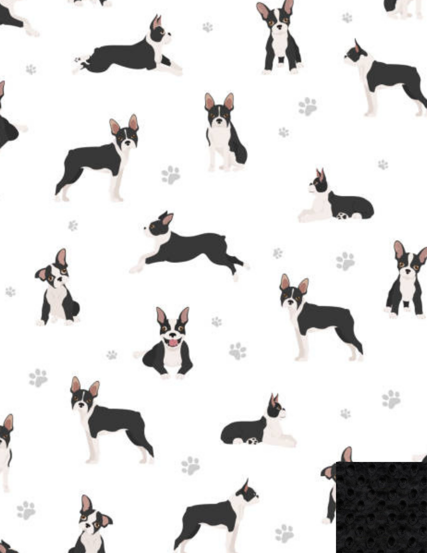 Couverture Chico le Boston Terrier