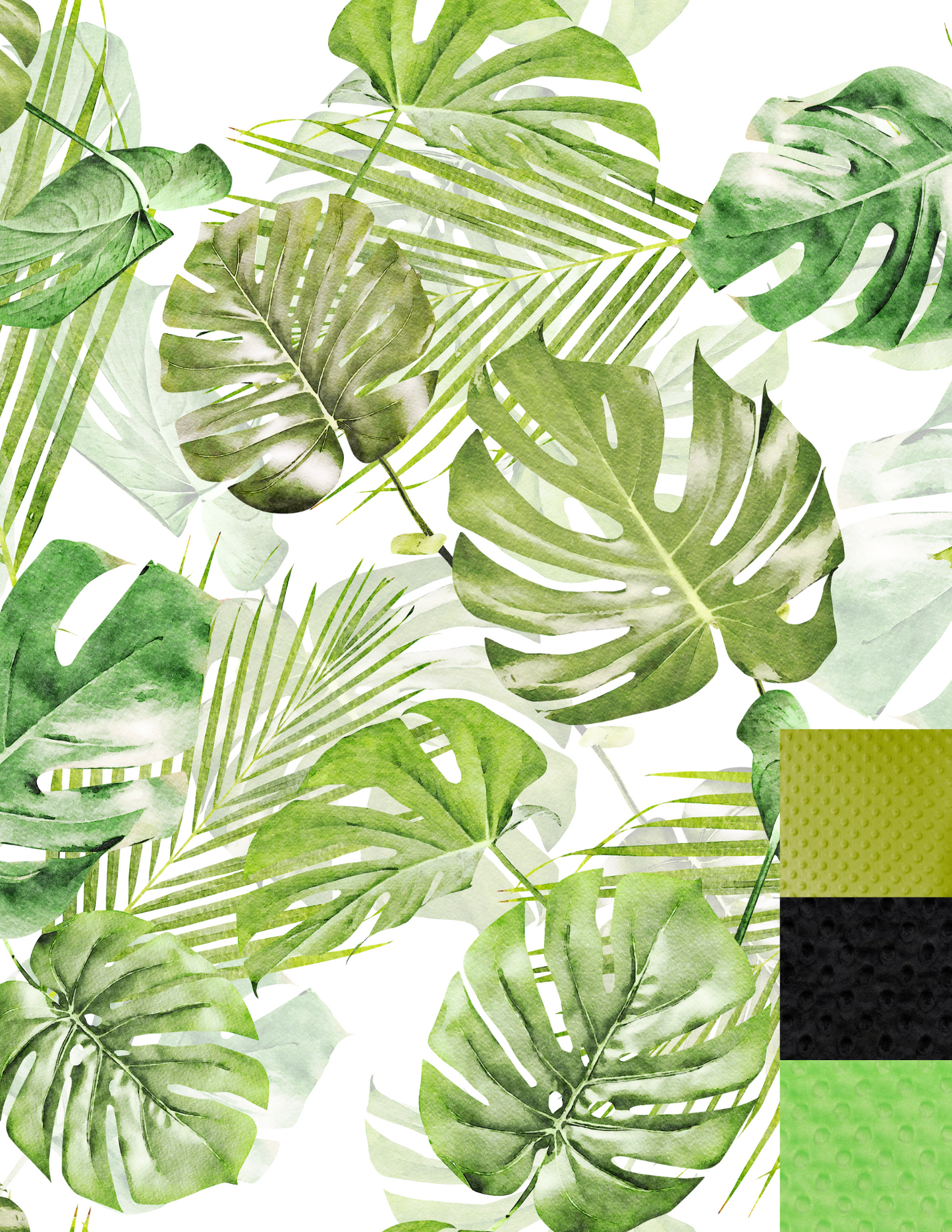 Couverture Monstera 🌱