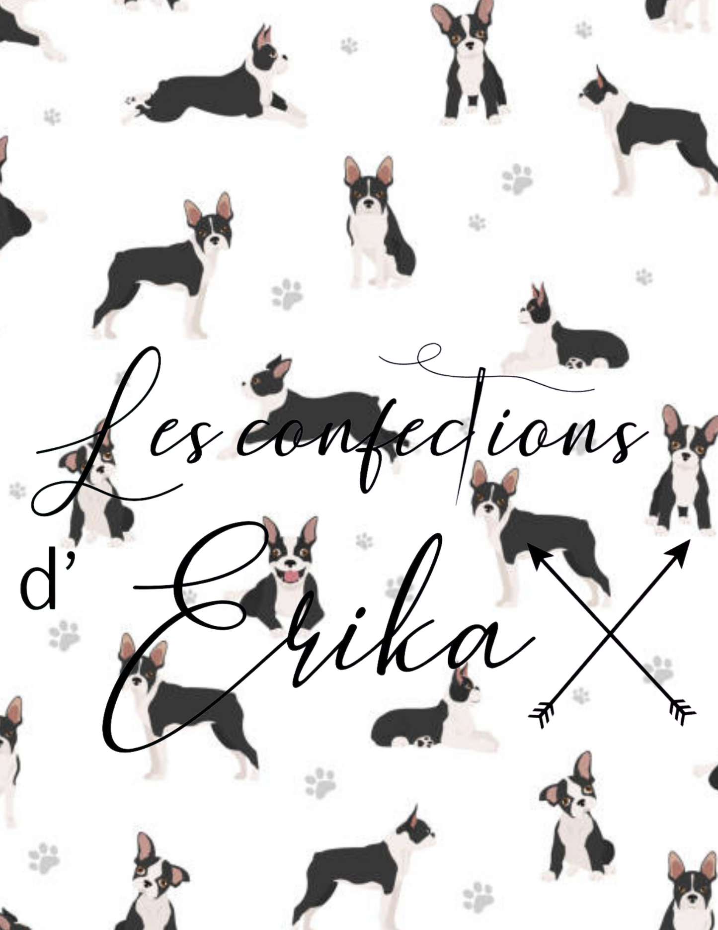 Couverture Chico le Boston Terrier