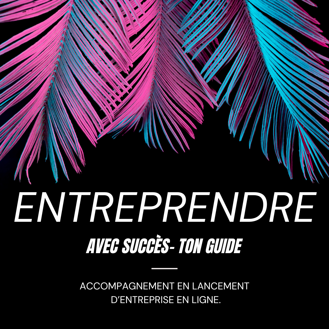 Formation: Entreprendre Avec Succès-Ton Guide