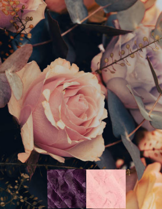 Ma douce Rose🌹