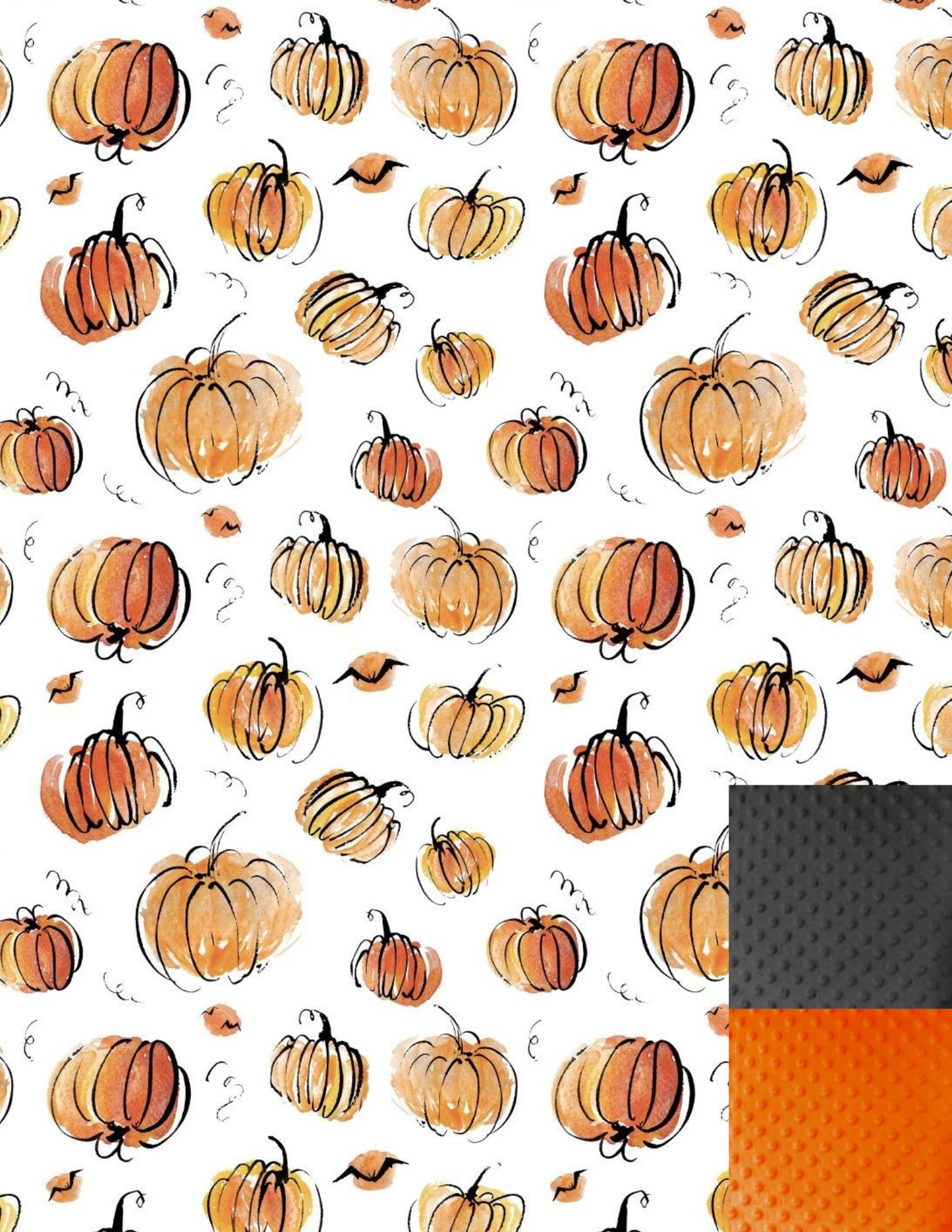Couverture Tout en Citrouilles