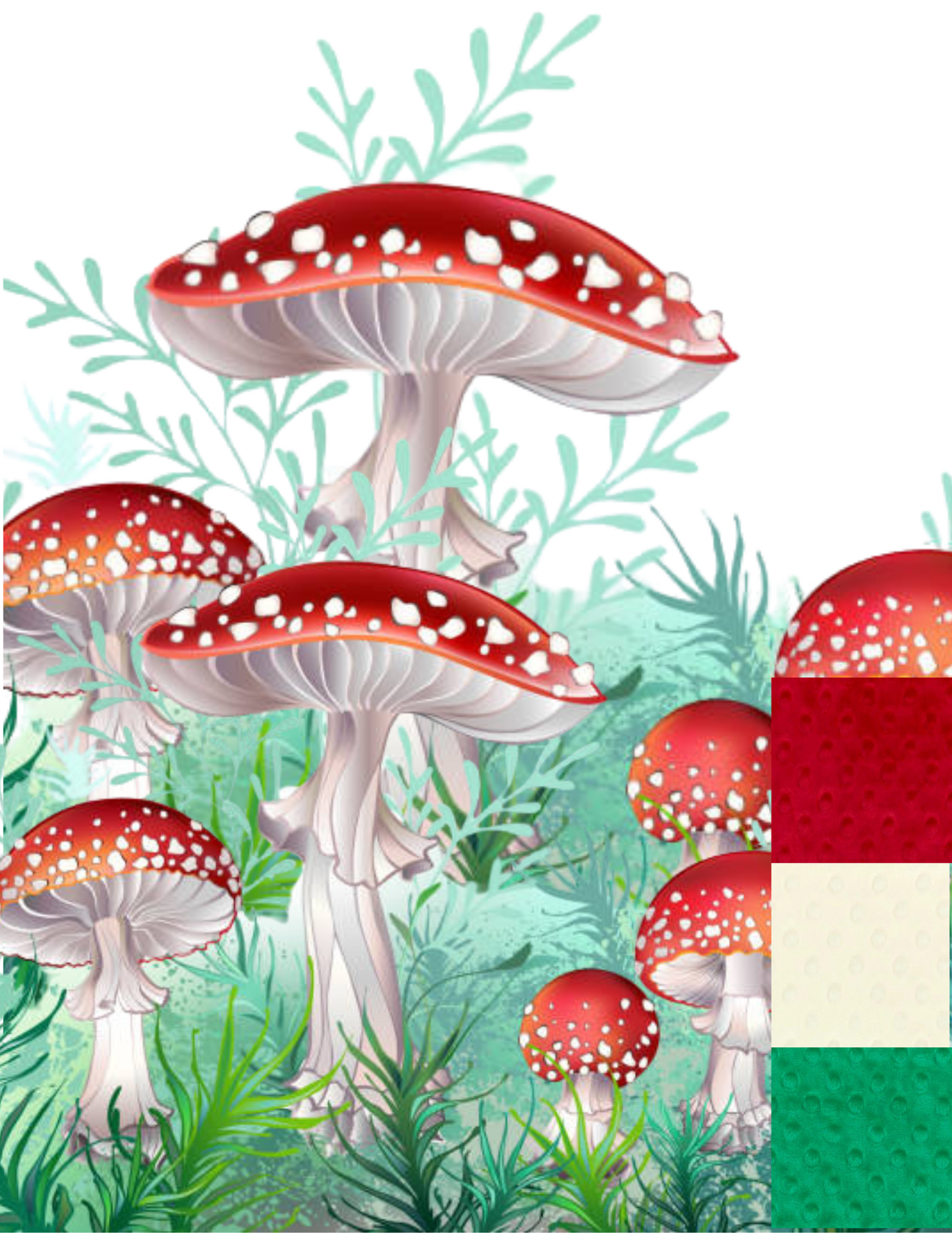 Couverture Les Champignons 🍄