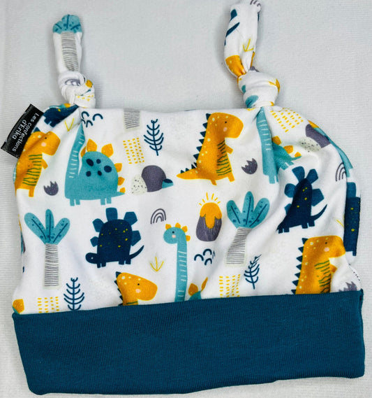 Bonnet dinosaures